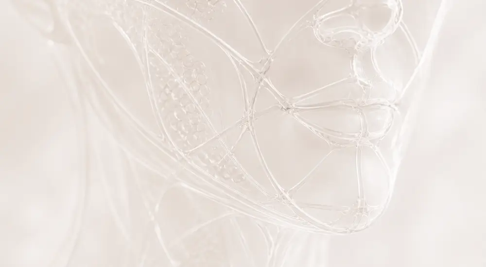 Facial structure mapped as a whole
