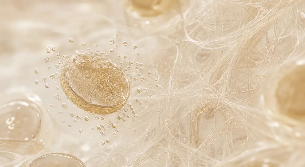 Concentrated platelets released into the tissue