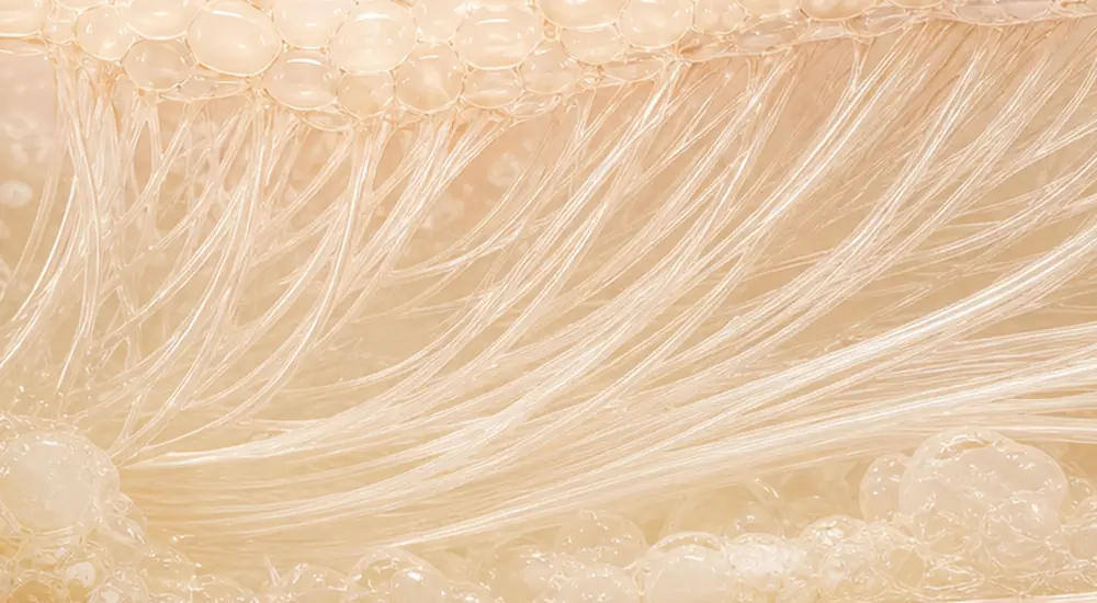 Collagen and elastin rebuilding